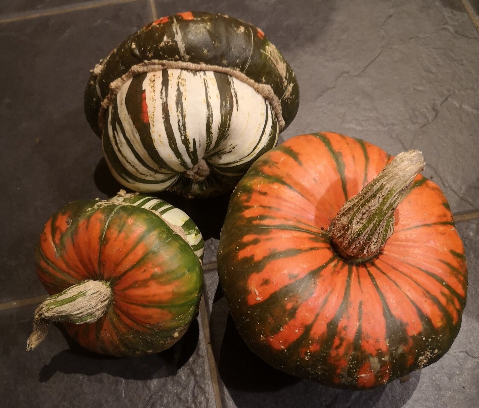 Harvested Turks Turban squashes