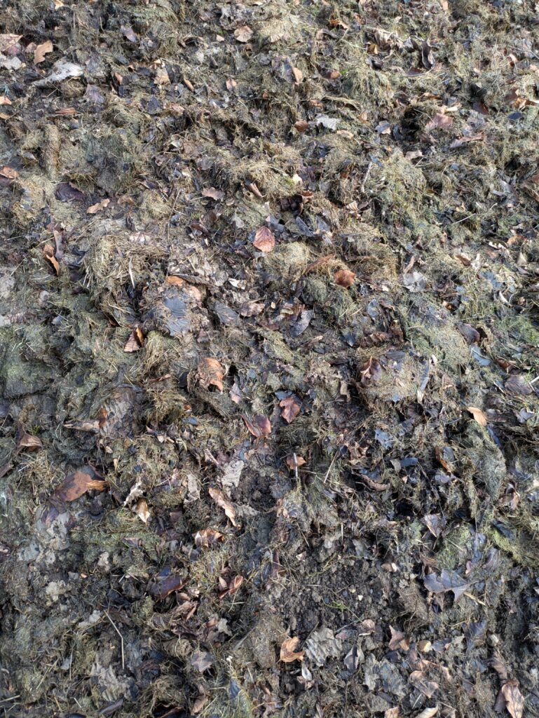 Covering Soil with Mulch During Winter