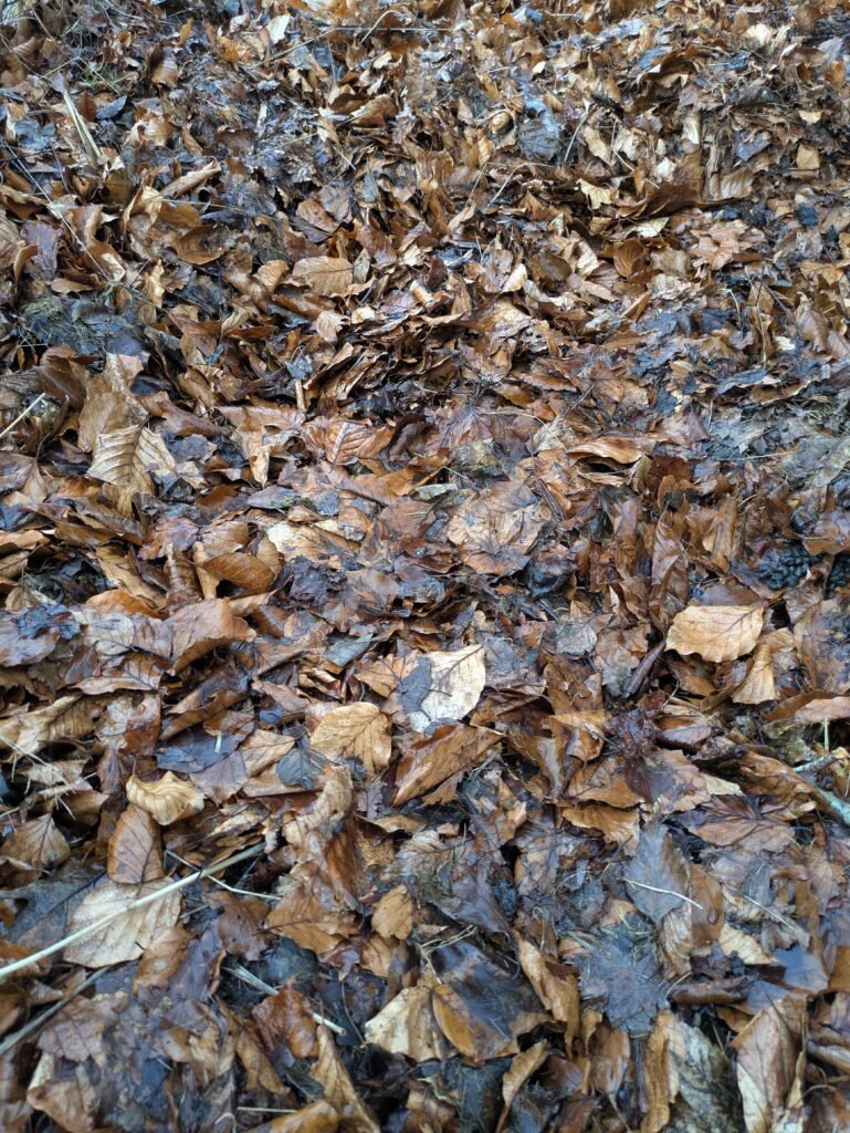 Leafmould