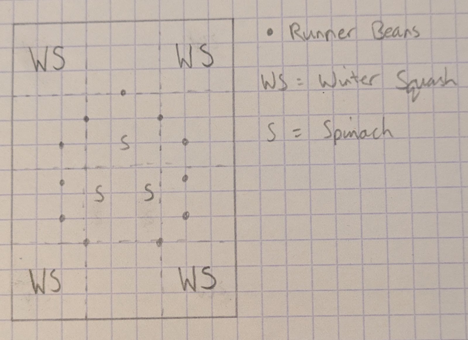 Plot A. Runner beans, spinach and winter squash.