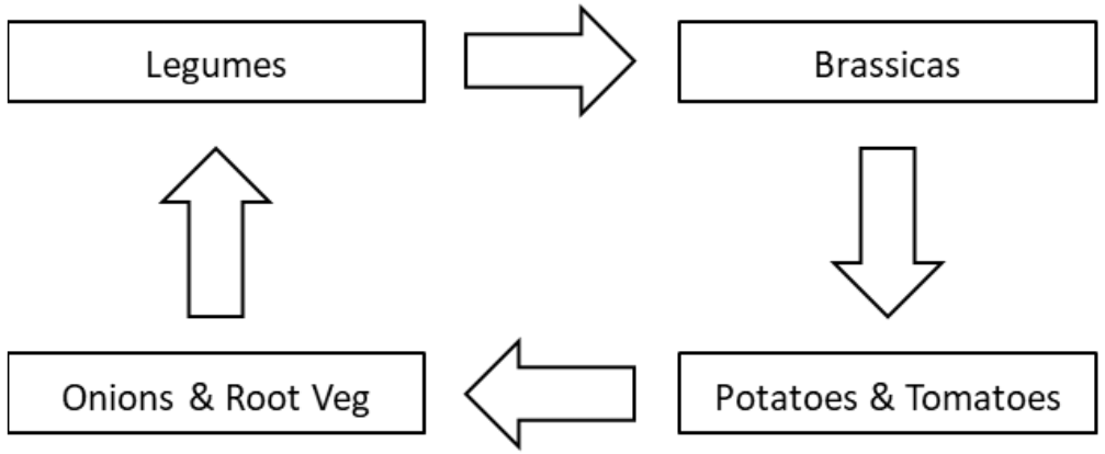 Crop Rotation