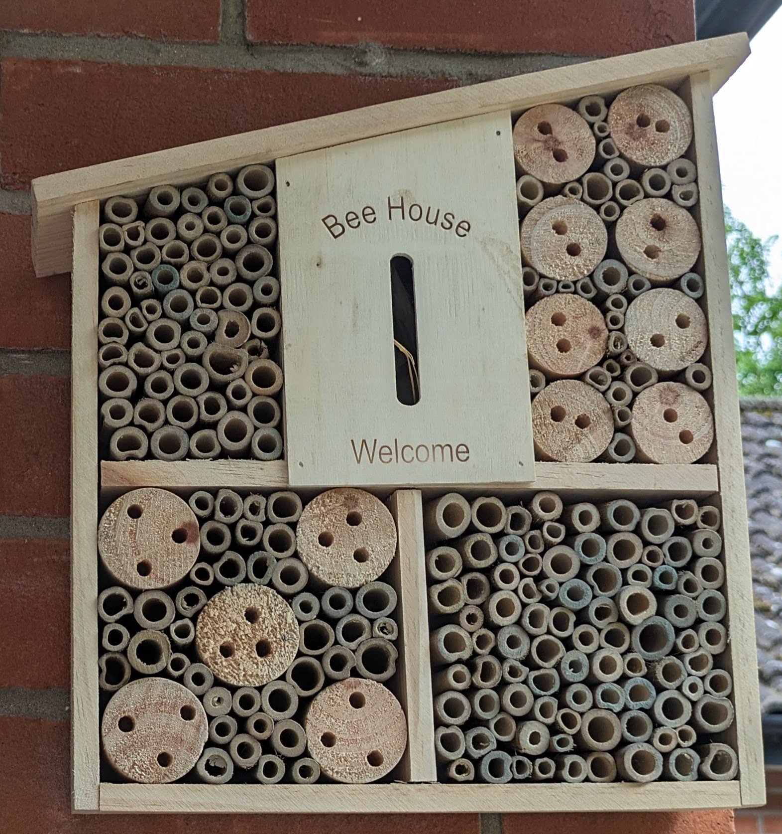 PXL_20240530_102408340 An 'insect hotel'