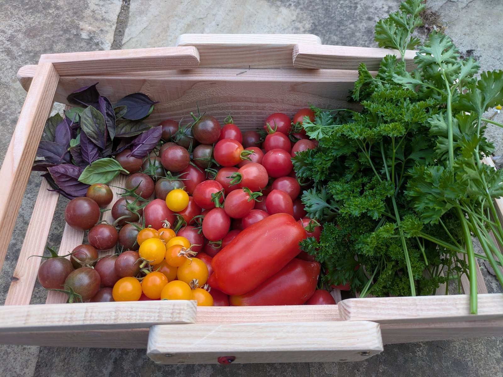 PXL_20250828_180713481