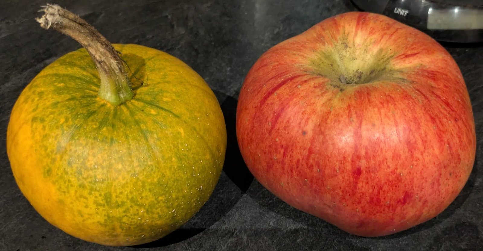The giant 800g apple next to a small squash.